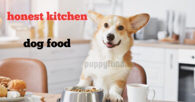 honest kitchen dog food